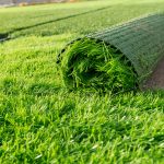Почему искусственный газон лучше чем натуральный?